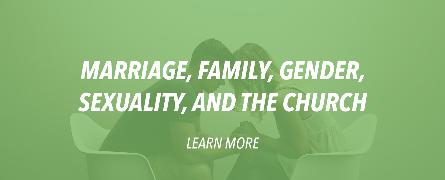 Marriage__Family__Gender__Sexuality__and_the_Church.jpg